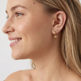 Amora Hoops