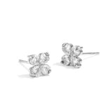 Clové Studs