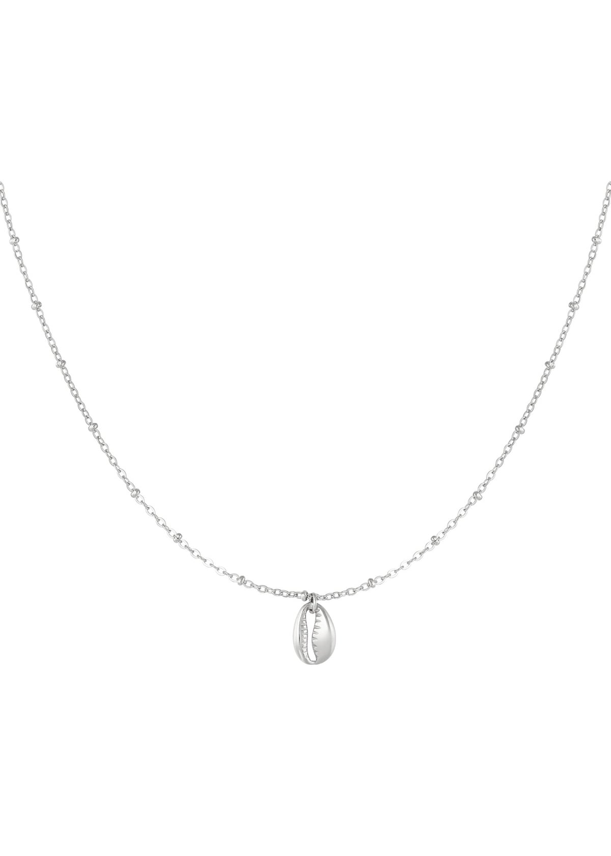 Feine silberne Halskette mit Muschel Anhänger für Damen, zarter eleganter Schmuck