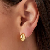 Liguria Earrings Gold