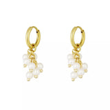 Liore Earrings Gold