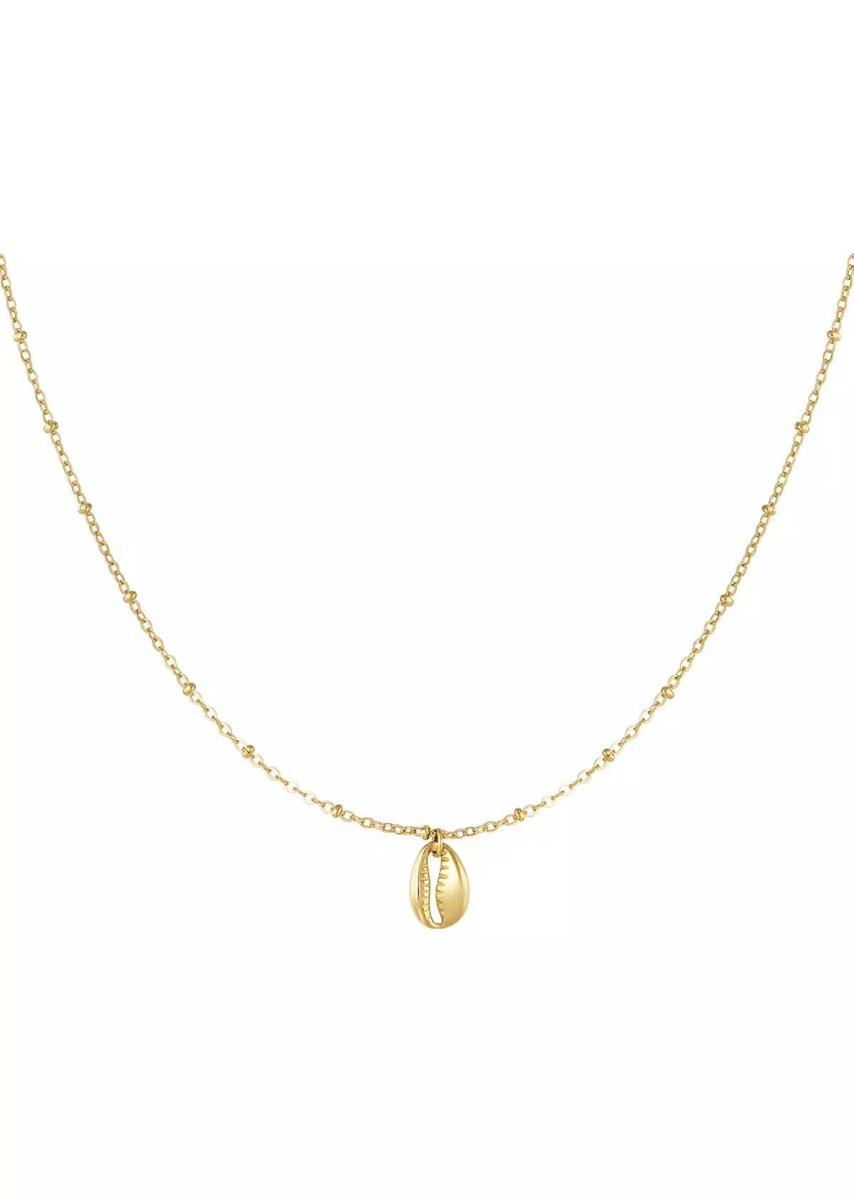Goldene Muschel Halskette für Damen mit kleinem Anhänger, feine elegante Kette im minimalistischen Design