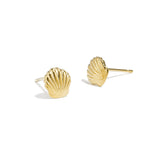 Shell Studs