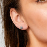 Shell Studs