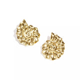 Nautilus Studs