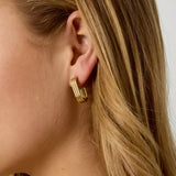 Ridge Earrings