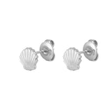 Shell Studs Silber