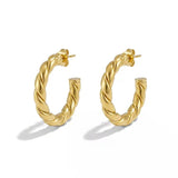Twisted Earrings