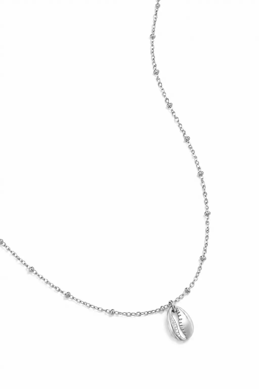 Shell Necklace