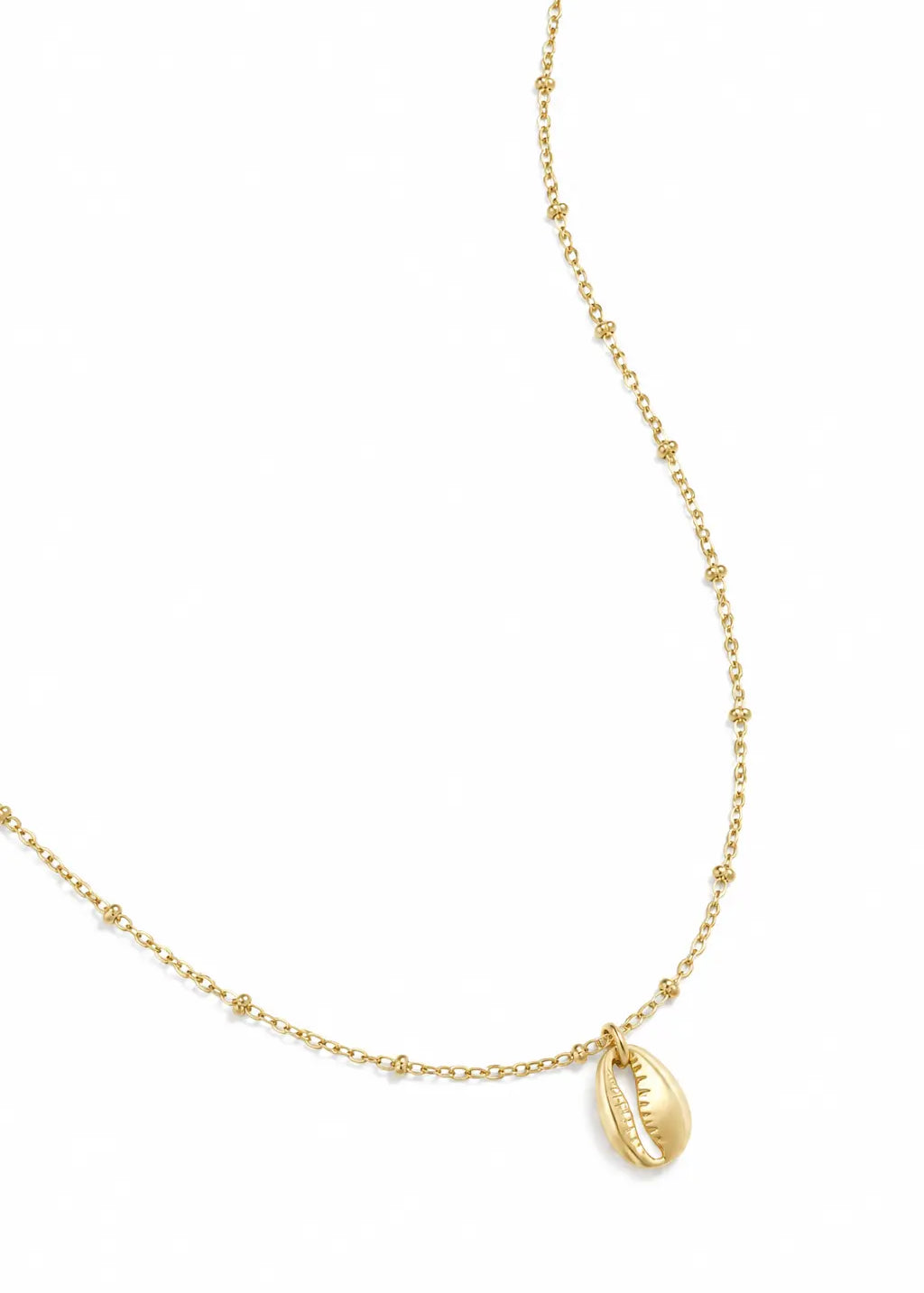 Shell Necklace
