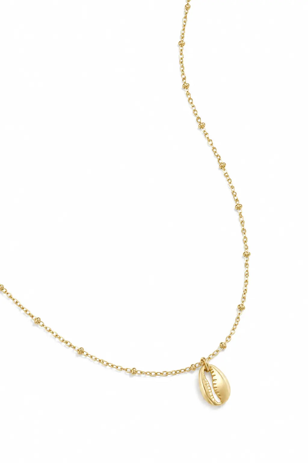 Shell Necklace