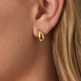 Drop Earrings