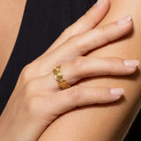 Orbita Ring