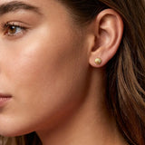 Shell Studs